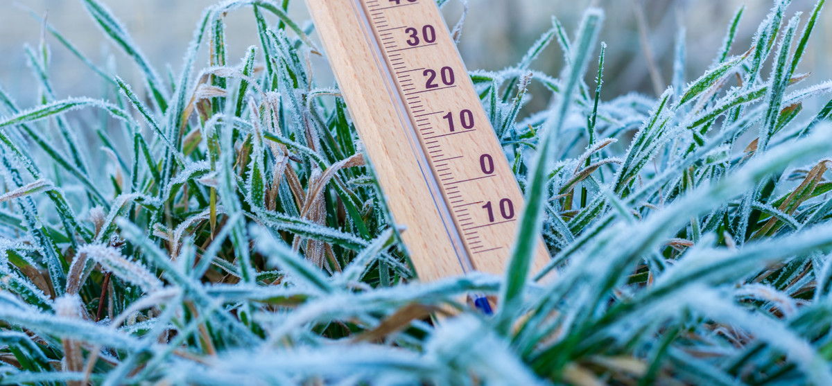 frozen grass with thermometer